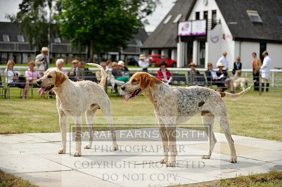 Builth 2014 CF1 284