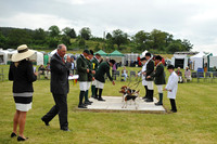 Builth 2014 CF2 005