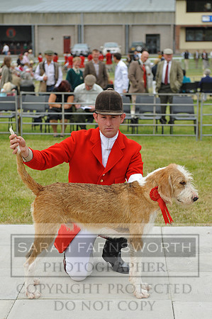 Builth 2014 CF2 024