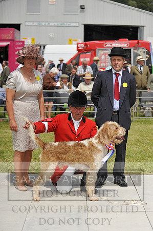 Builth 2014 CF1 529