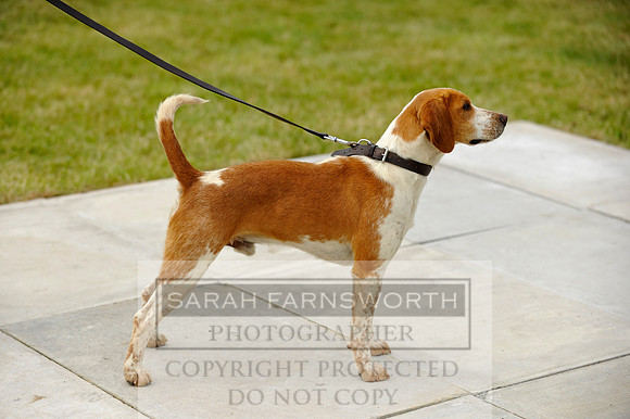 Builth 2014 CF1 212