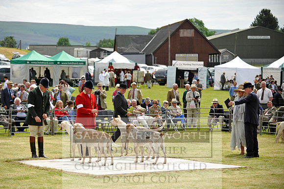 Builth 2014 CF1 267