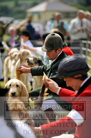 Builth 2014 CF1 351