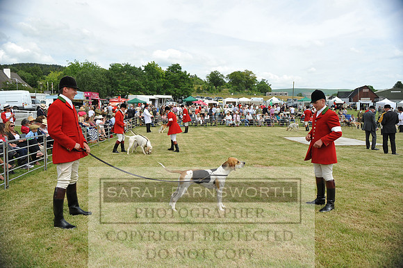 Builth 2014 CF2 116