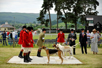 Builth 2014 CF1 079