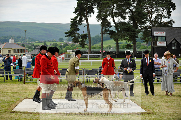 Builth 2014 CF1 079