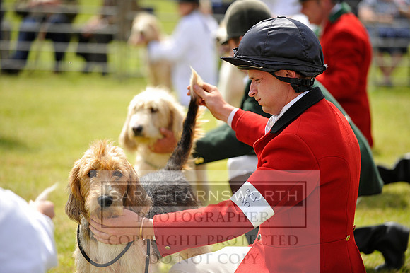Builth 2014 CF1 346