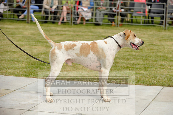 Builth 2014 CF1 229