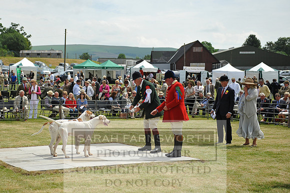 Builth 2014 CF2 097