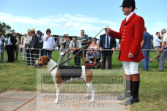Honiton 2014 CF2 019