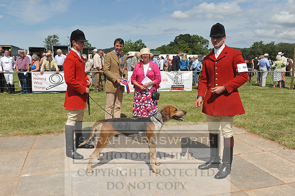 Honiton 2014 CF2 209