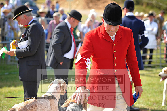 Honiton 2014 CF1 208