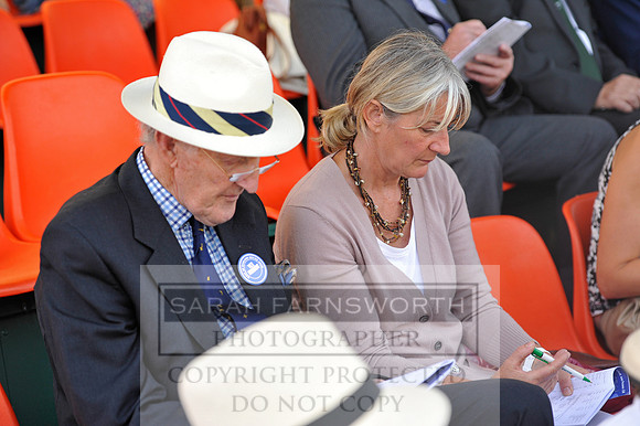 Honiton 2014 CF1 371
