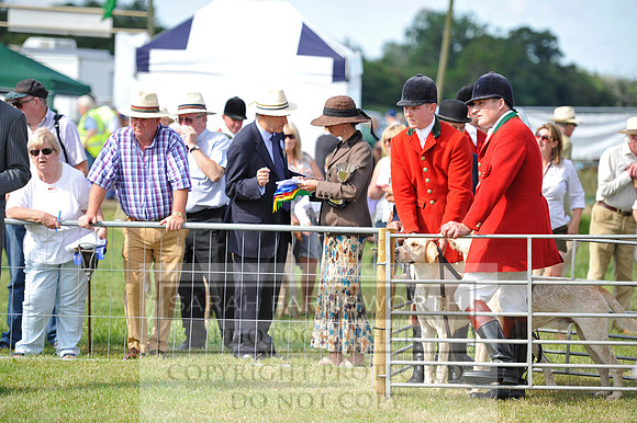 Honiton 2014 CF1 091