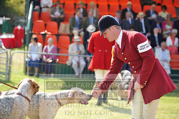 Honiton 2014 CF1 178