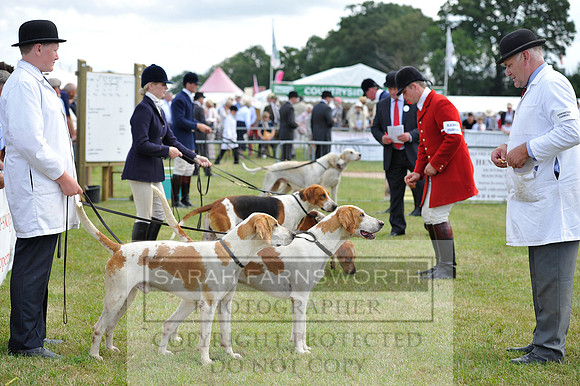 Honiton 2014 CF1 279