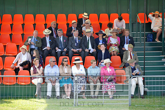 Honiton 2014 CF1 087