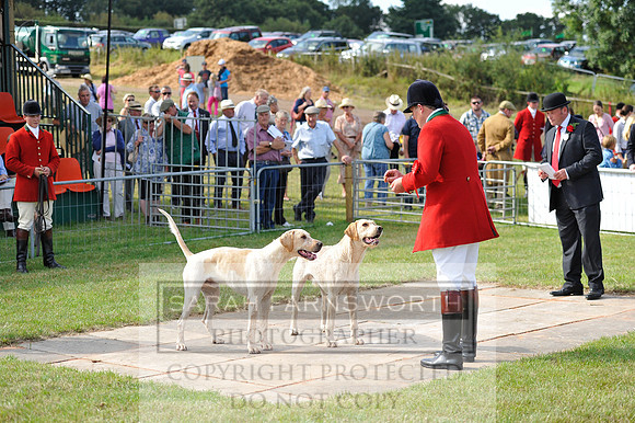 Honiton 2014 CF1 095