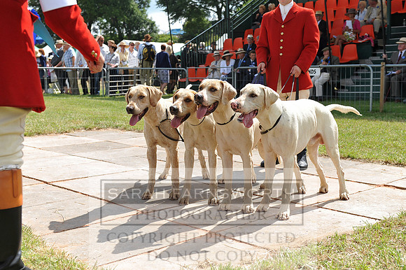 Honiton 2014 CF2 140