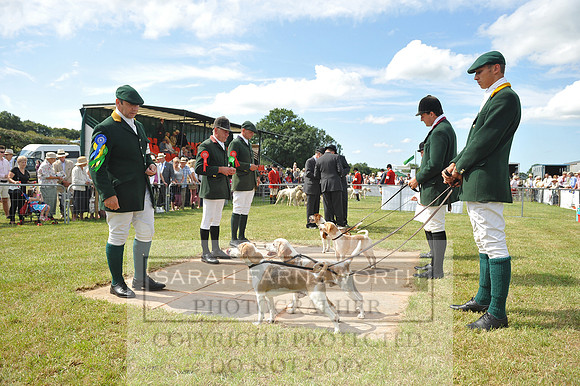 Honiton 2014 CF2 128