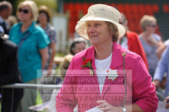 Honiton 2014 CF1 502