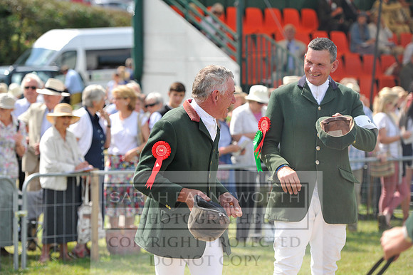 Honiton 2014 CF1 306