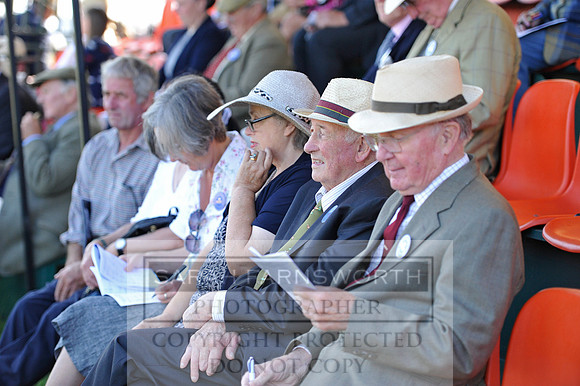 Honiton 2014 CF1 031