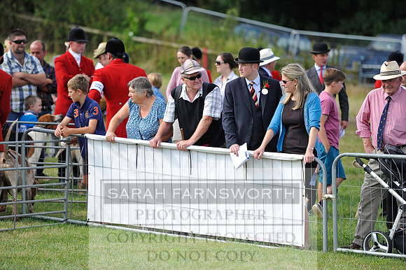 Honiton 2014 CF1 100