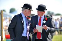 Honiton 2014 CF1 023
