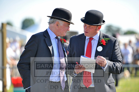 Honiton 2014 CF1 023