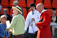 Honiton 2014 CF1 052