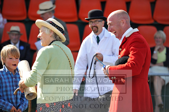 Honiton 2014 CF1 052