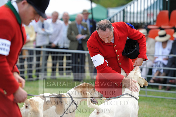 Honiton 2014 CF1 286