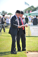 Honiton 2014 CF1 019