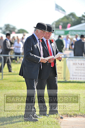 Honiton 2014 CF1 019