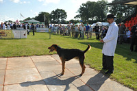 Honiton 2014 CF2 012