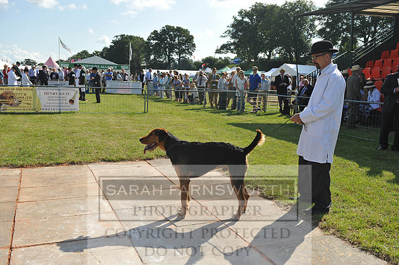 Honiton 2014 CF2 012