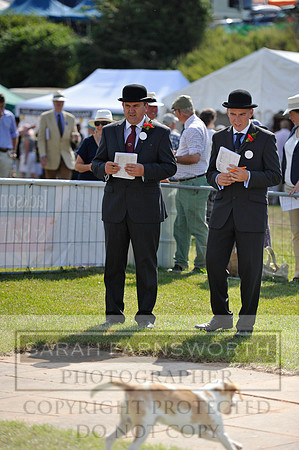 Honiton 2014 CF1 157