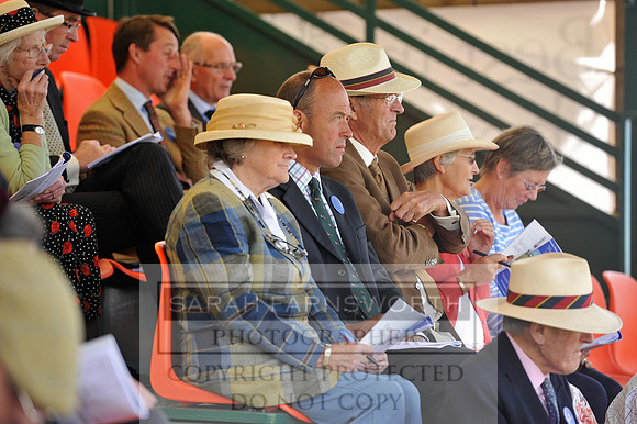 Honiton 2014 CF1 369