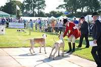 Honiton 2014 CF1 016