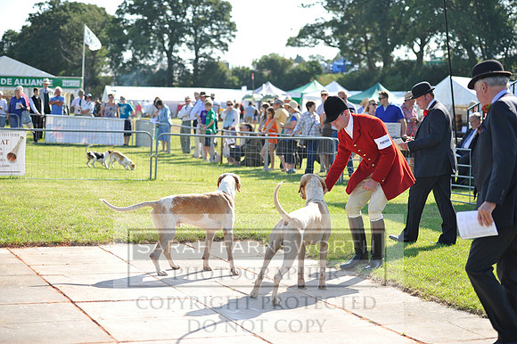 Honiton 2014 CF1 016