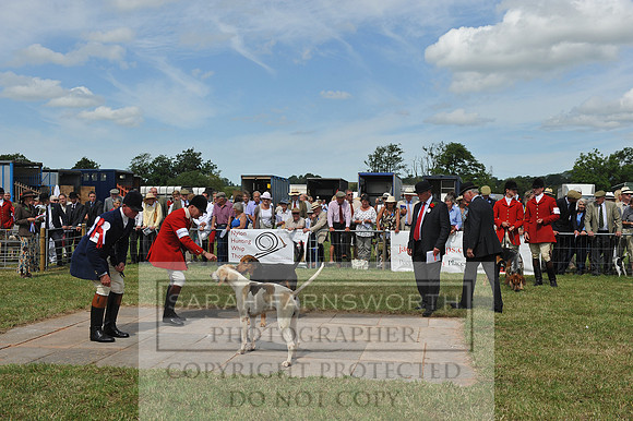 Honiton 2014 CF2 165