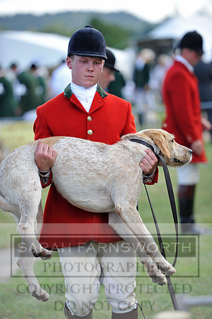 Honiton 2014 CF1 136