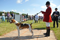 Honiton 2014 CF2 008