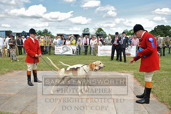 Honiton 2014 CF2 123