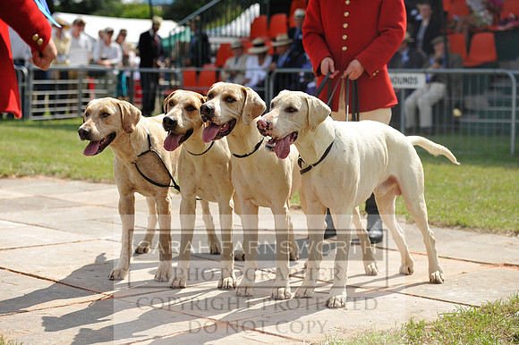 Honiton 2014 CF1 346