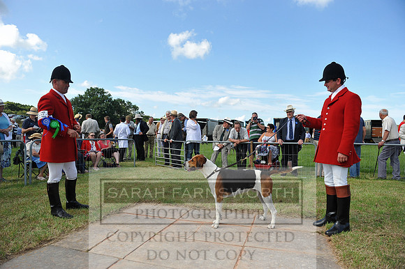 Honiton 2014 CF2 022