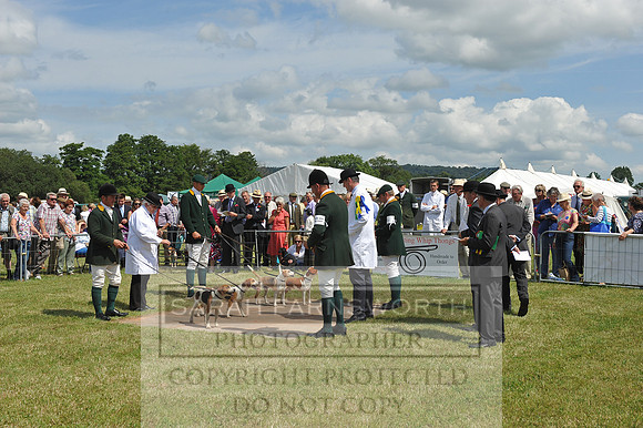 Honiton 2014 CF2 177
