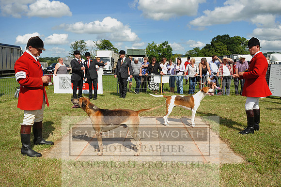 Honiton 2014 CF2 096