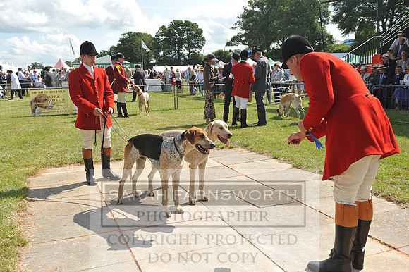 Honiton 2014 CF2 079